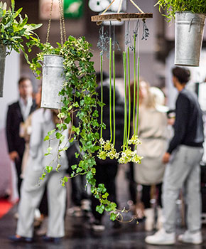 Hanging plant decorations with blurred visitors in the background.